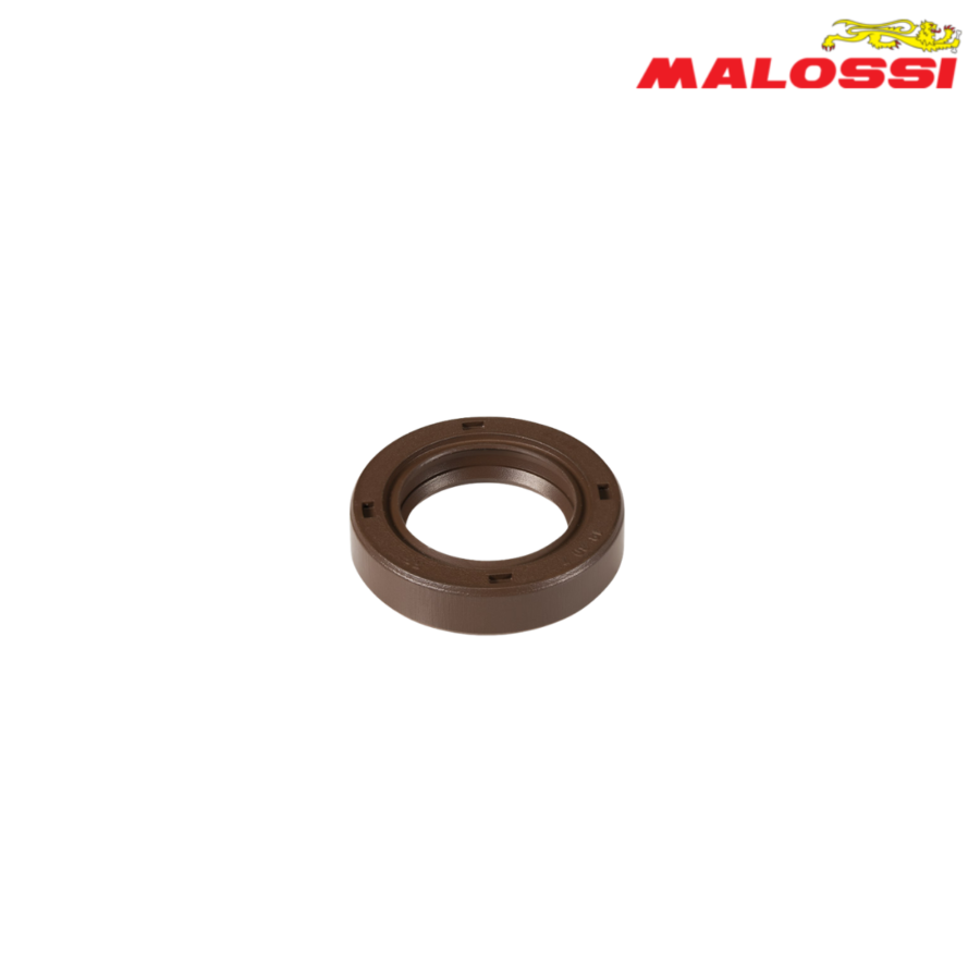 SEMERING 19X30X7 PIAGGIO 50 66 9598B MALOSSI***