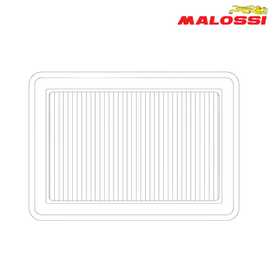 FILTER VOZDUH W BOX 1420621 MALOSSI