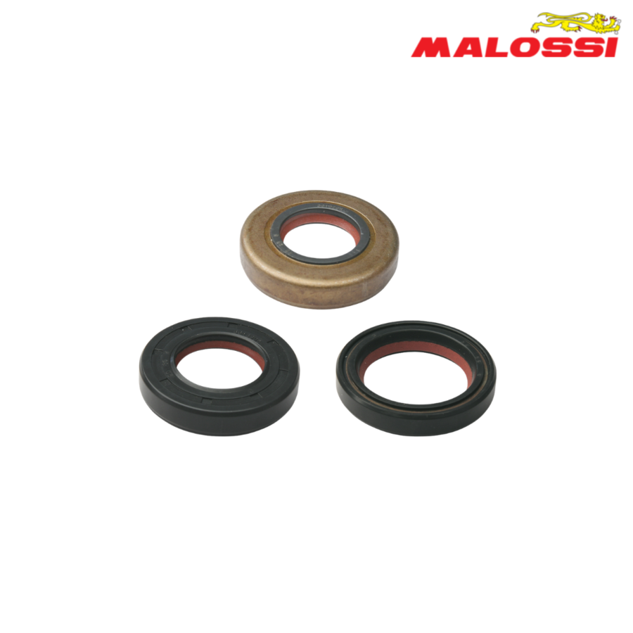 SEMERINZI YAMAHA MINARELLI AM6 50 6619820 MALOSSI***