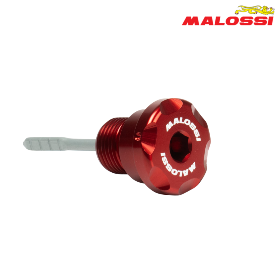 MERAC MASLO PIAGGIO BEVERLY 125 200 250 300 CRVEN 1020246BR MALOSSI*