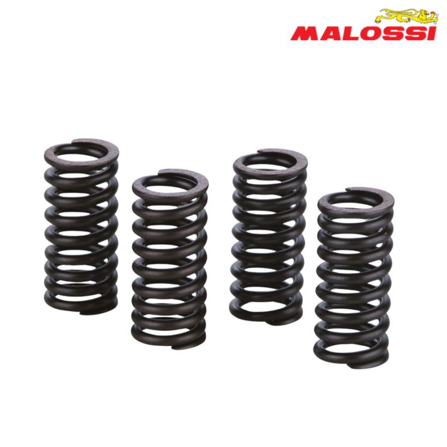 FEDERCINJA LAMELA PIAGGIO BEVERLY 400 500 2913068 MALOSSI ITALY*