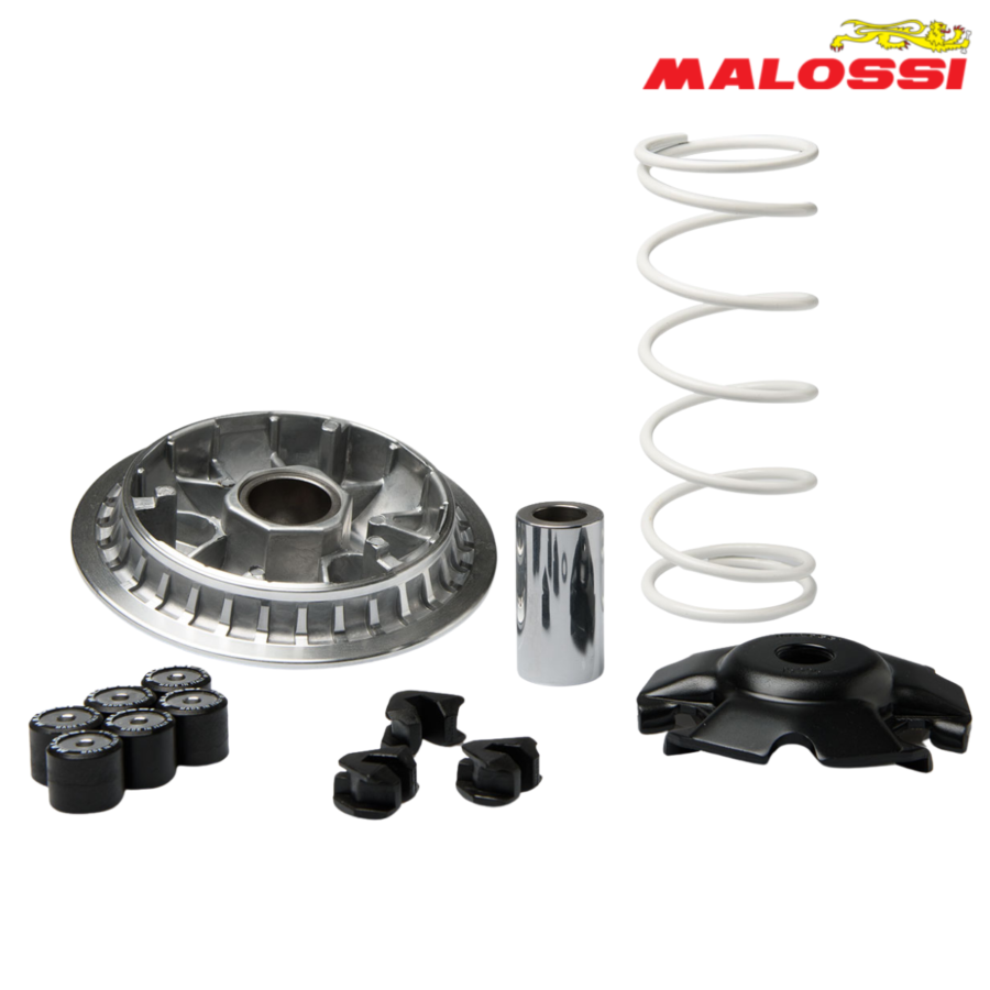 VARIJATOR YAMAHA X MAX 125 IE 4T LC EURO 5 2021->2022  5119095 MALOSSI*