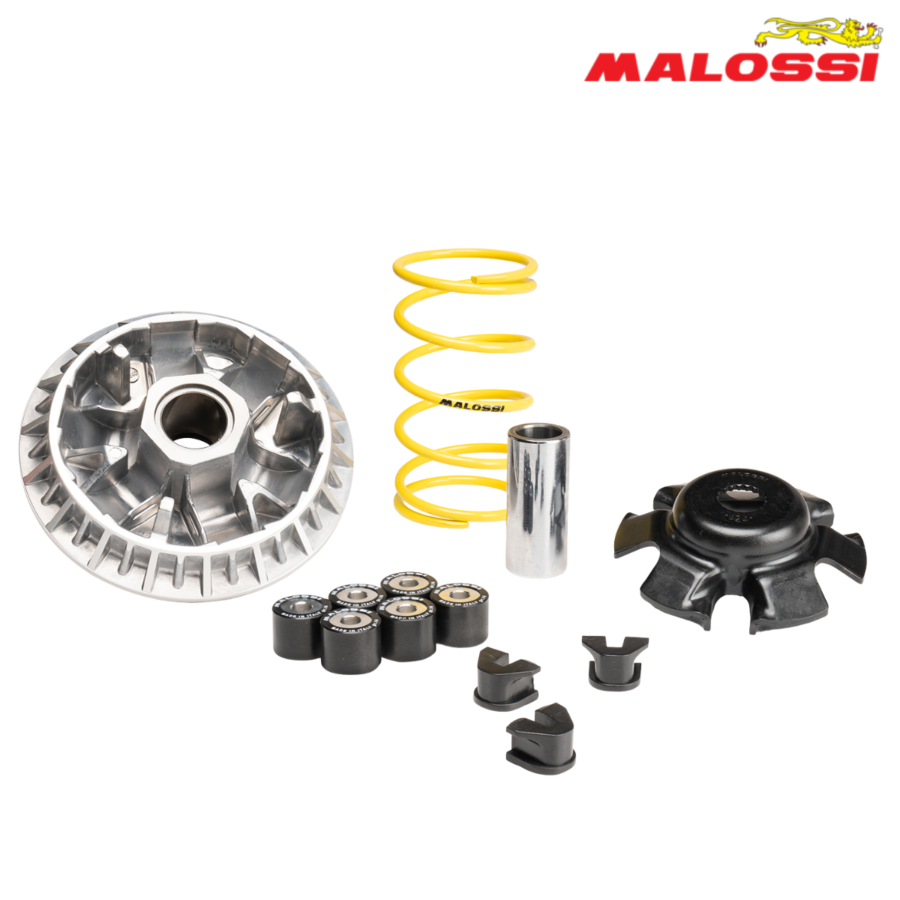 VARIJATOR SYM ADX 300 IE 4T LC EURO 5+ 2025-> 5119861 MALOSSI*