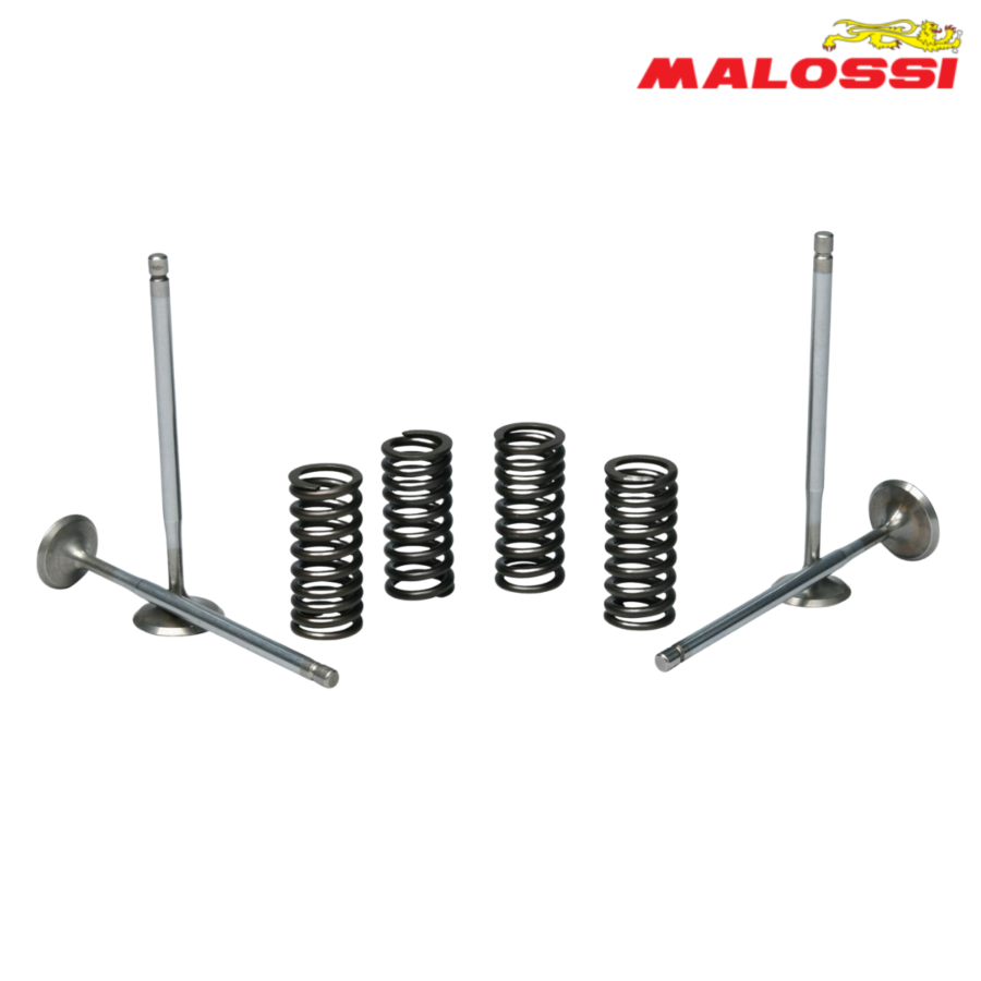 VENTILI SET PIAGGIO BEVERLY 250 300 ZA ORGINALNA GLAVA 2714047 MALOSSI*
