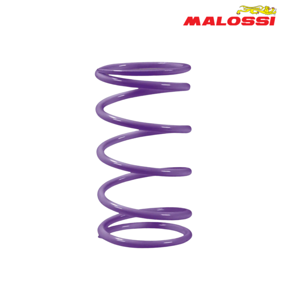 FEDER KAISNICA VIOLETOV KYMCO AK 550 2917874.V0 MALOSSI*