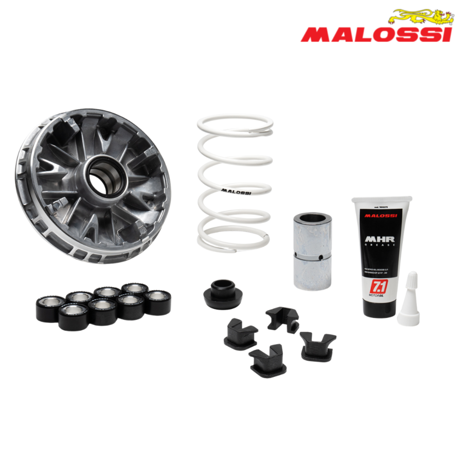 VARIJATOR ZONTES 350 D E 368 D E G K MULTIVAR 2000 5120290 MALOSSI*