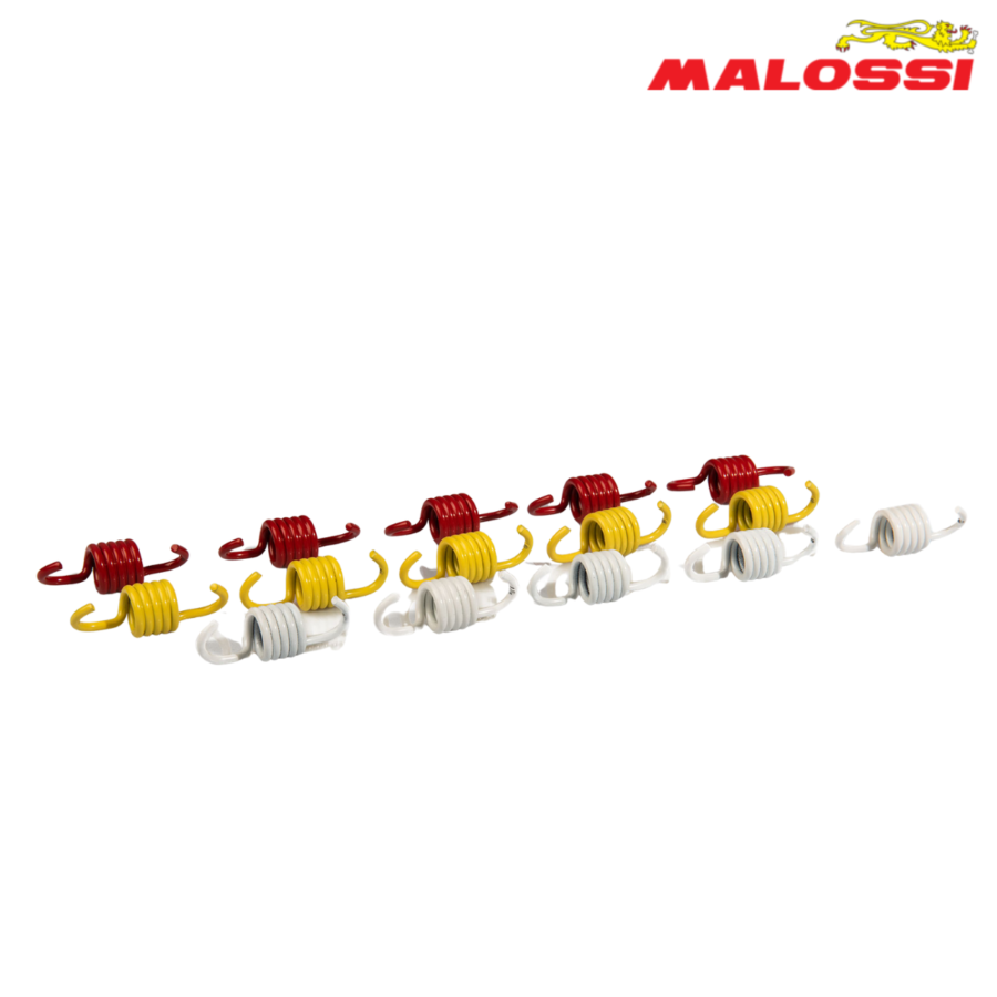 FEDERCINJA LAMELA BMW C 600 650 ORGINALNA LAMELA SET 2917505 MALOSSI*