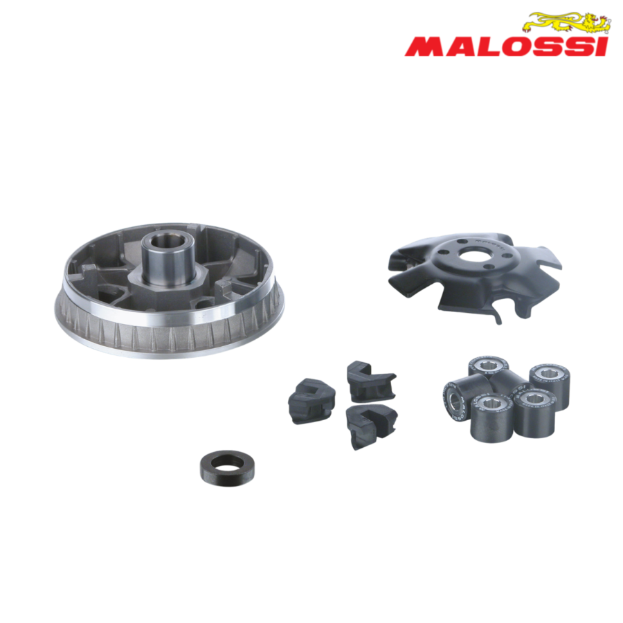 VARIJATOR PEUGEOT GEOPOLIS 125 IE 4T L/C 5113365 MALOSSI ITALY*