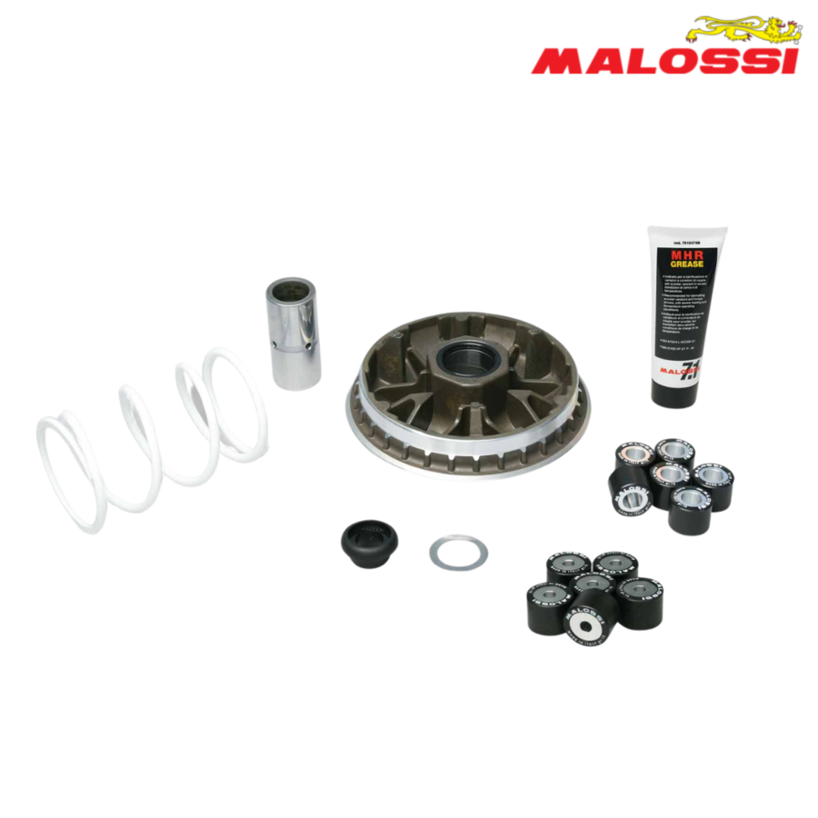 VARIJATOR HONDA SH 300 11-2018-> 5114192 MALOSSI ITALY*