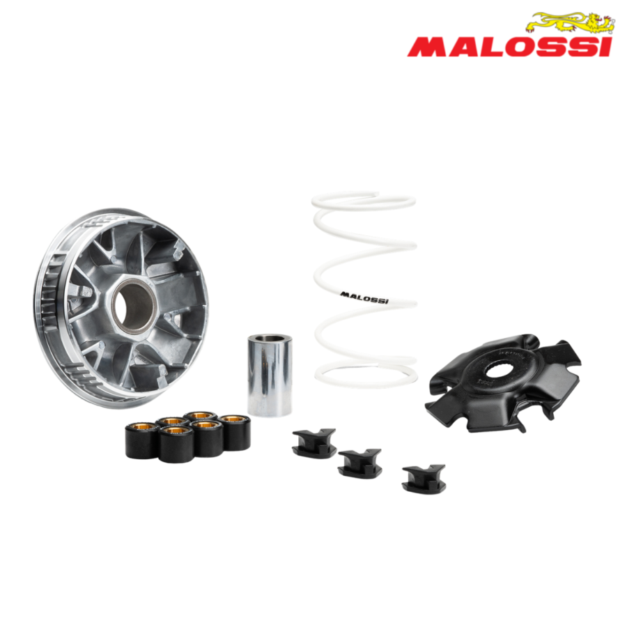 VARIJATOR PIAGGIO BEVERLY 310 2025-> 5120216 MALOSSI ITALY*