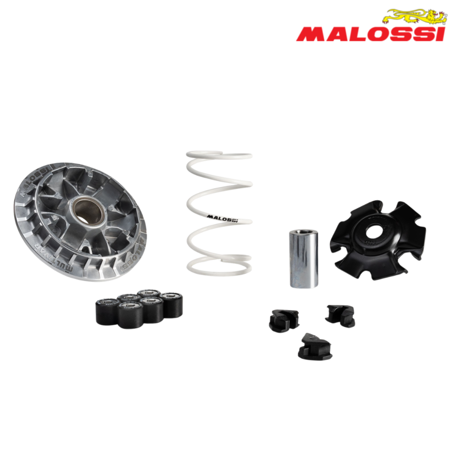 VARIJATOR ZONTES 125D 4T LC EURO 5+ 2025-> 5120513 MALOSSI ITALY*