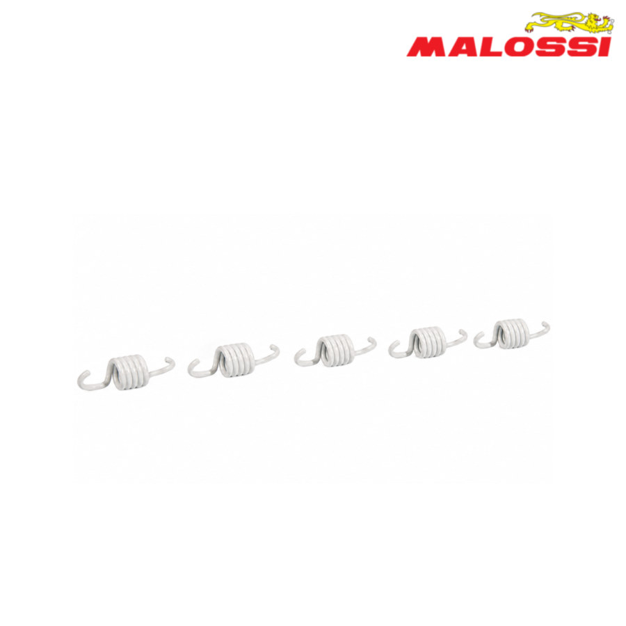 FEDERCINJA LAMELA BMW C 600 650 ORGINALNA LAMELA BELI 2917505 MALOSSI*
