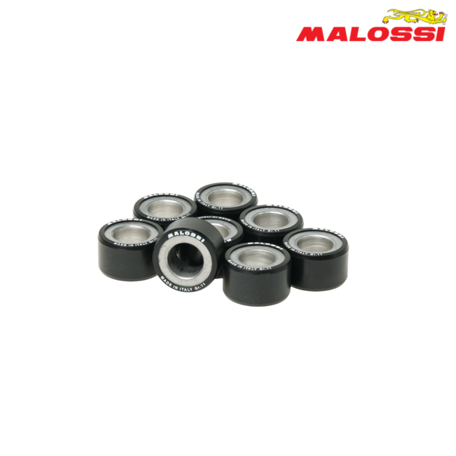 ROLNI 25X14,9-10 6613561.Z0 MALOSSI*