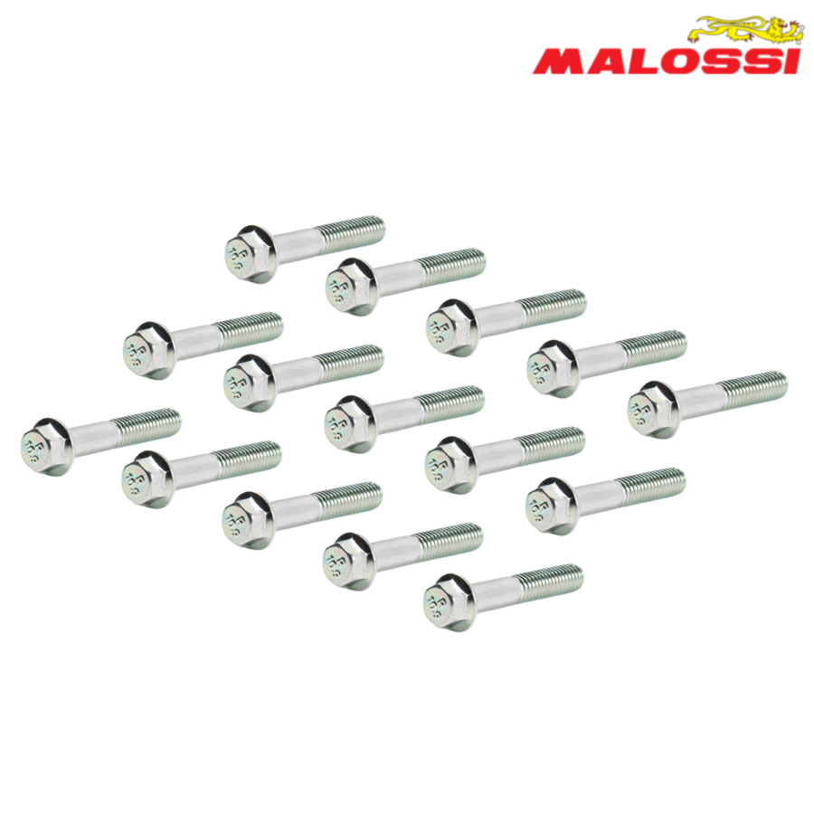 STRAFOVI 6X35 SET PIAGGIO 50 1920253 MALOSSI*