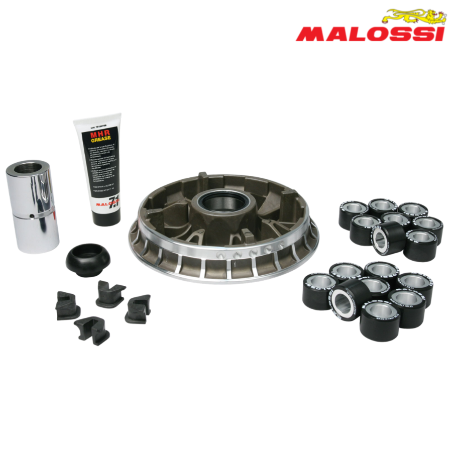 VARIJATOR BMW C 600 SPORT IE 4T LC EURO 3 <-15 MULTIVAR 5115501 MALOSSI***