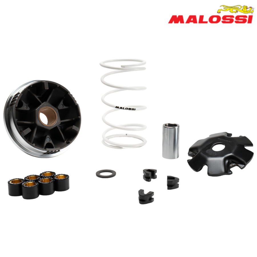 VARIJATOR SYM SYMPHONY ST 50 4T 21-> MULTIVAR 5120225 MALOSSI***